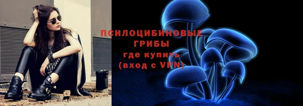спайс Баксан