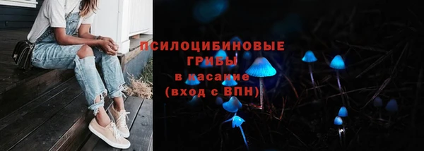 спайс Баксан
