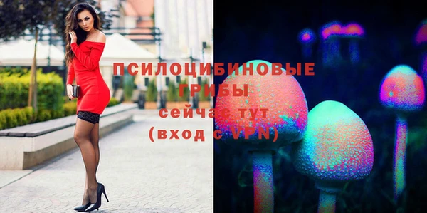 прущая мука Балахна